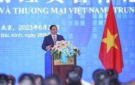 越中经贸投资合作潜力巨多