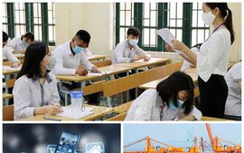 越南政府、政府总理的指导工作亮点（29日至6月3日）