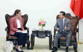 越南政府副总理陈红河会见世界卫生组织驻越南首席代表