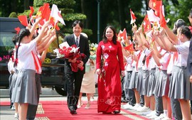 武氏映春副主席主持欢迎仪式并会见日本皇嗣亲王和纪子王妃