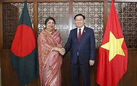 推动越南孟加拉关系发展到新高度