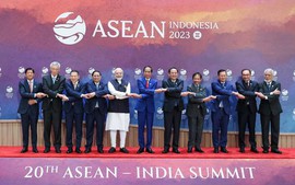 越南政府总理范明正出席东盟-印度领导人会议和东亚峰会