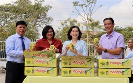 越南安江省向韩国出口首批13吨扁籽芒果