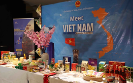 遇见越南——推进越南与比利时合作的机遇