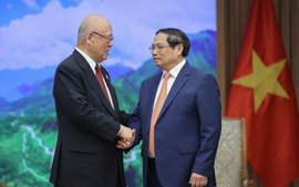 具体化越南—日本全面战略伙伴关系