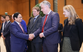 越南政府总理范明正接见荷兰企业代表团