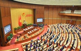 越南国会通过关于免去武文赏国家主席职务的决议