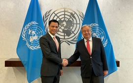 联合国秘书长安东尼奥&#183;古特雷斯称赞越南经济增长
