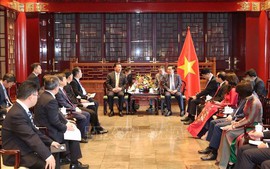 越南国会主席王廷惠会见中国知名企业代表