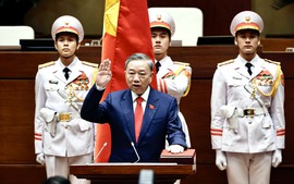 越南国会选举苏林为国家主席