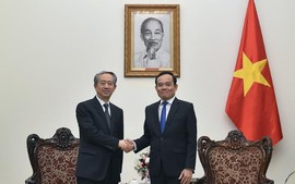 陈流光副总理会见即将离任的中国驻越南大使