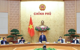 2024年3月份政府定期会议决议