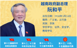 越南政府副总理阮和平的简历
