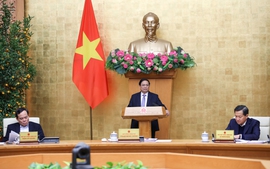 2024年2月份政府定期会议决议