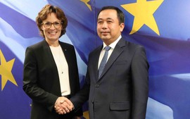 越南加强与欧盟和比利时的环境和可持续发展合作