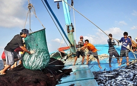 10月18日越南政府和政府总理的指导工作