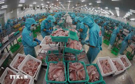 越南与新加坡双边贸易金额达24.7亿美元