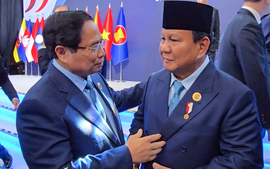 印尼总统:支持欧盟委员会解决对越南的IUU黄牌警告