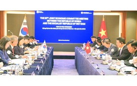 越南与韩国寻找措施 促进全面合作