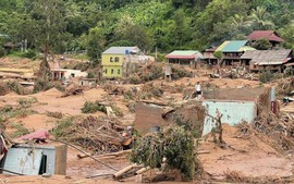 义安省接受国际援助 支持受灾民众