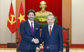 越共中央总书记苏林会见斯洛伐克副总理兼国防部长