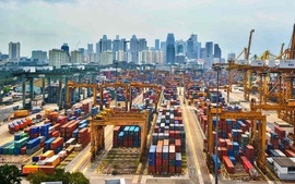 越南—新加坡进出口金额大幅增长