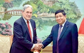 越南政府副总理阮志勇会见新西兰外交部长温斯顿&#183;彼得斯