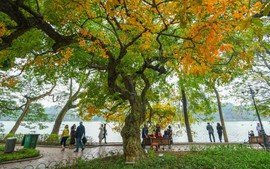 河内—友善城市、幸福城市