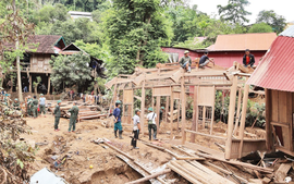 范明政总理要求着力修复中部地区洪涝后的基础设施、恢复生产运营