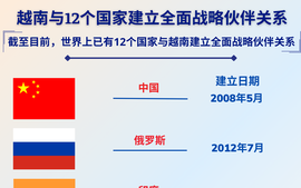 越南和世界上12个国家建立全面战略伙伴关系