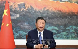 习近平在越南媒体发表署名文章《志同道合携手前行 继往开来续写新篇》