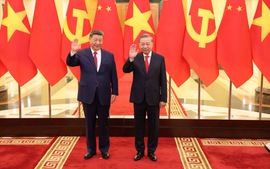 越共中央总书记苏林与中共中央总书记、中国国家主席习近平举行会谈