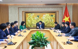 阮志勇副总理接见深圳大学中国经济特区研究中心代表团