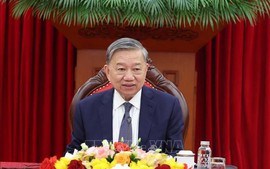 越共中央总书记苏林与欧洲理事会主席通电话