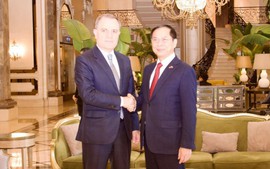 越南政府副总理、外交部长裴青山会见阿塞拜疆外交部长杰伊洪&#183;巴伊拉莫夫