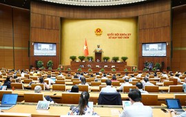 第十五届国会第九次会议将表决通过关于修宪的决议