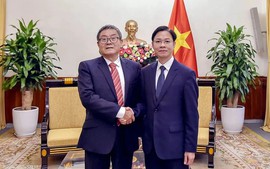 越南外交部副部长吴黎文会见中国外交部外交政策咨询委员会 代表团