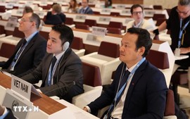 越南和国际社会一道 呼吁遵守国际人道法