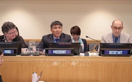 越南担任《联合国海洋法公约》缔约国大会主席