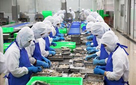 2025年前5月农林水产品出口金额增长15%