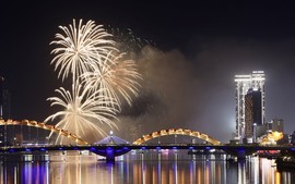 中国队夺得2025年岘港国际烟花节冠军