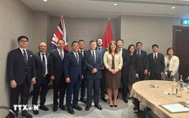 越南与英国促进经贸合作