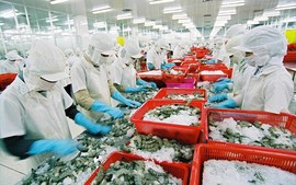中国成为越南水产品最大出口市场