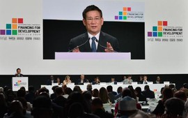 胡德福副总理：国际合作改革是实现发展目标的迫切要求