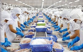 亚行：2025年越南经济被期望仍然稳健增长