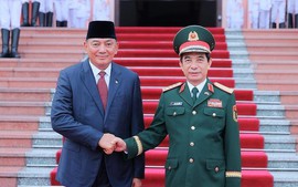印尼国防部长夏弗里•萨姆苏丁对越南进行正式访问