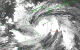 第5号台风“剑鱼”逼近 越南中部多地全面备战