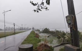 第5号台风掀强风暴雨，范明正总理指示着力应对，确保人民生命安全