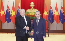 越共中央总书记苏林会见新西兰议会议长