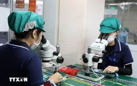 越南—埃及促进经济合作，拟签署双边自由贸易协定